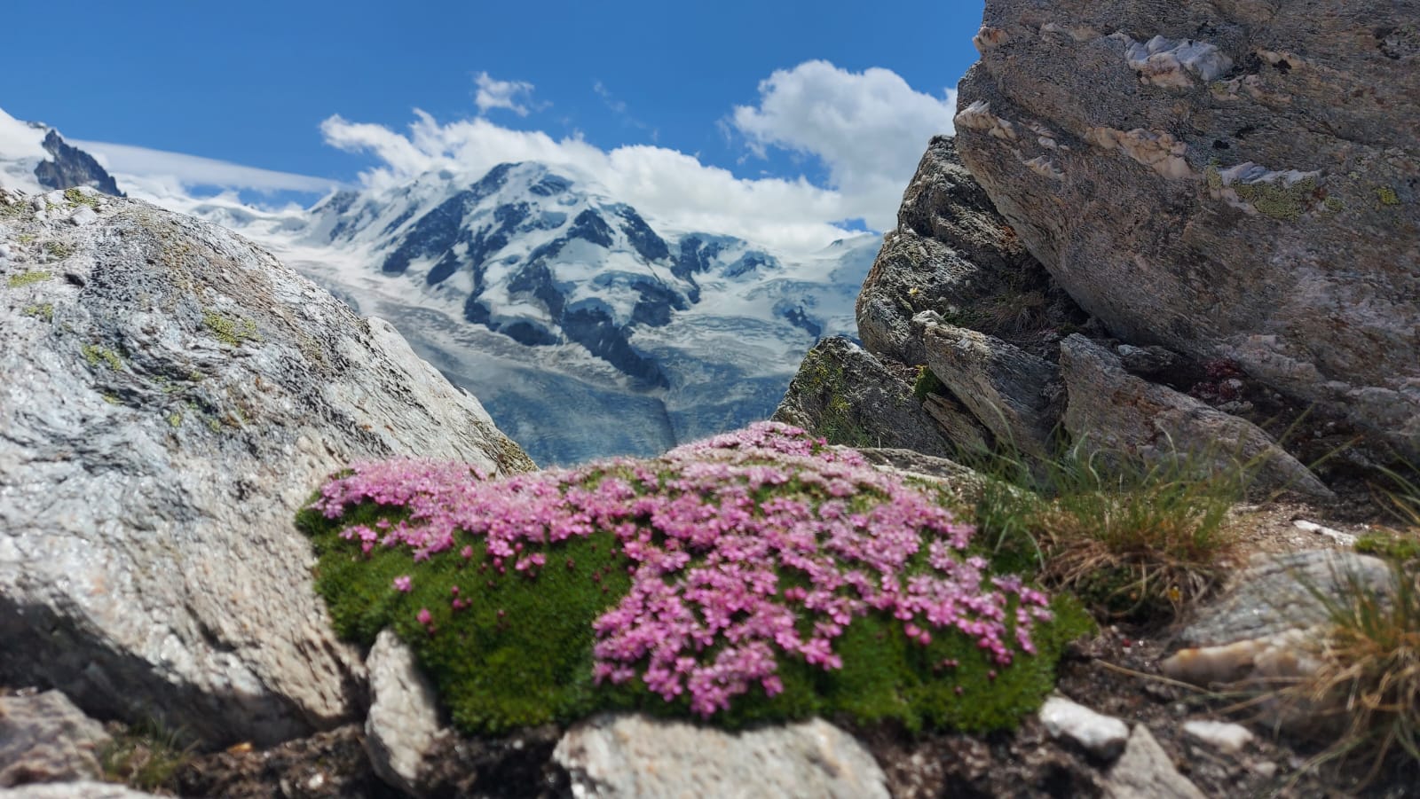glacier hiking switzerland