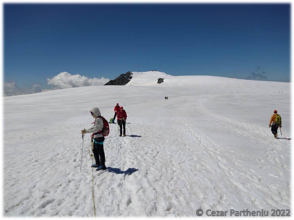 swiss alpine guides interlaken