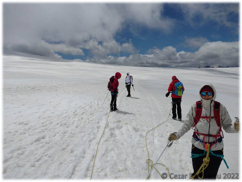 swiss alps guided tours